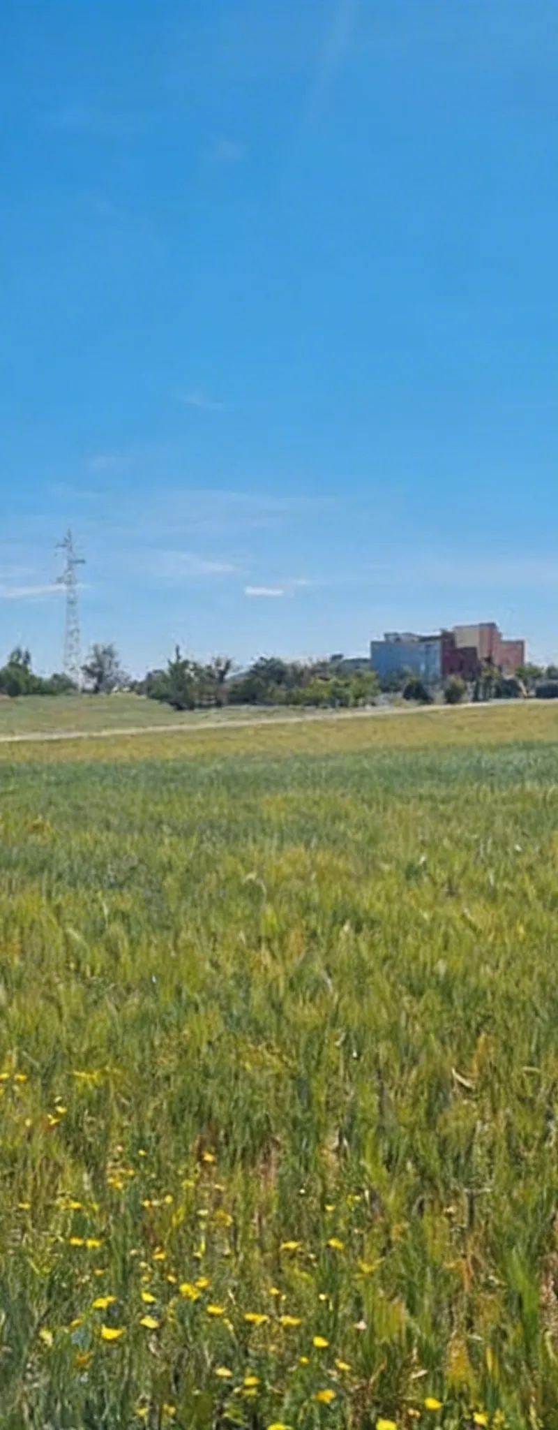 Terrains titrés à Chkika pour l'agriculture et l'investissement