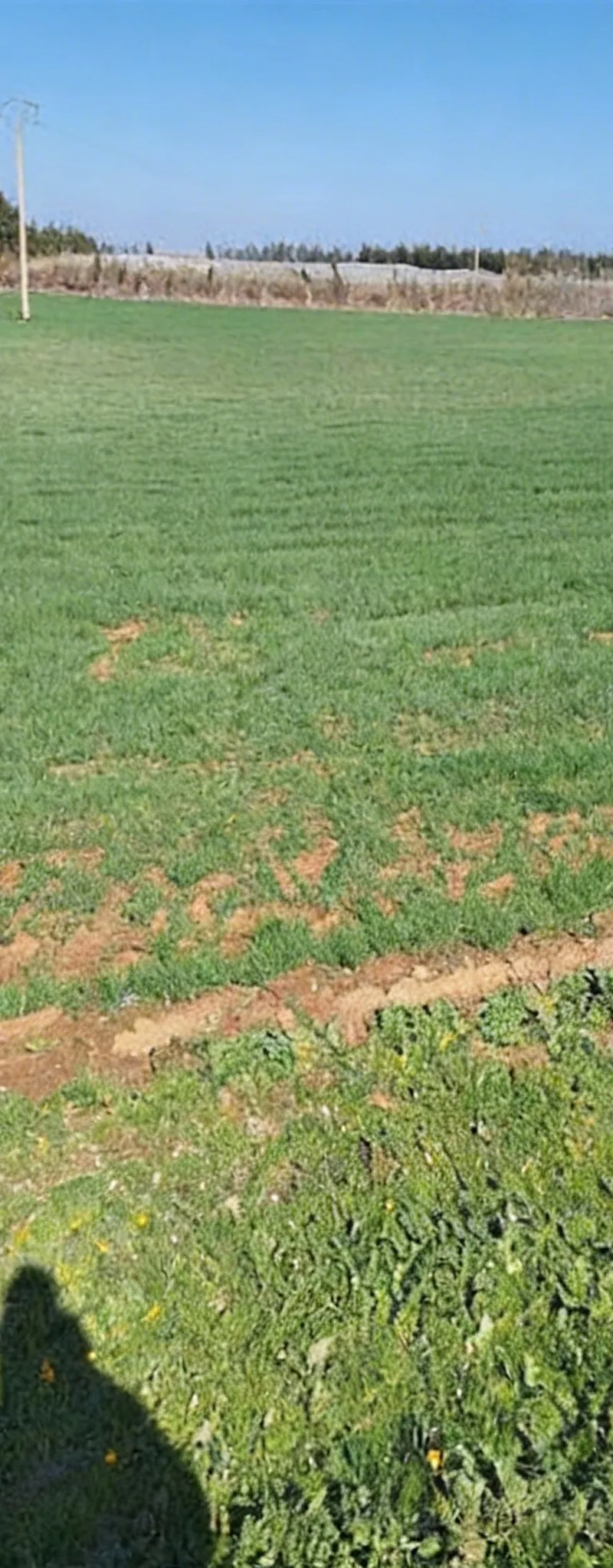 Terrains agricoles et résidentiels titrés dans la région de Bir Jdid