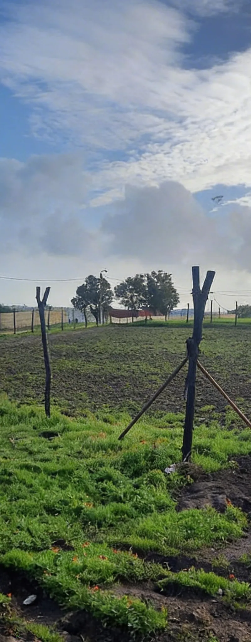 Terrain à vendre 1500 mètres