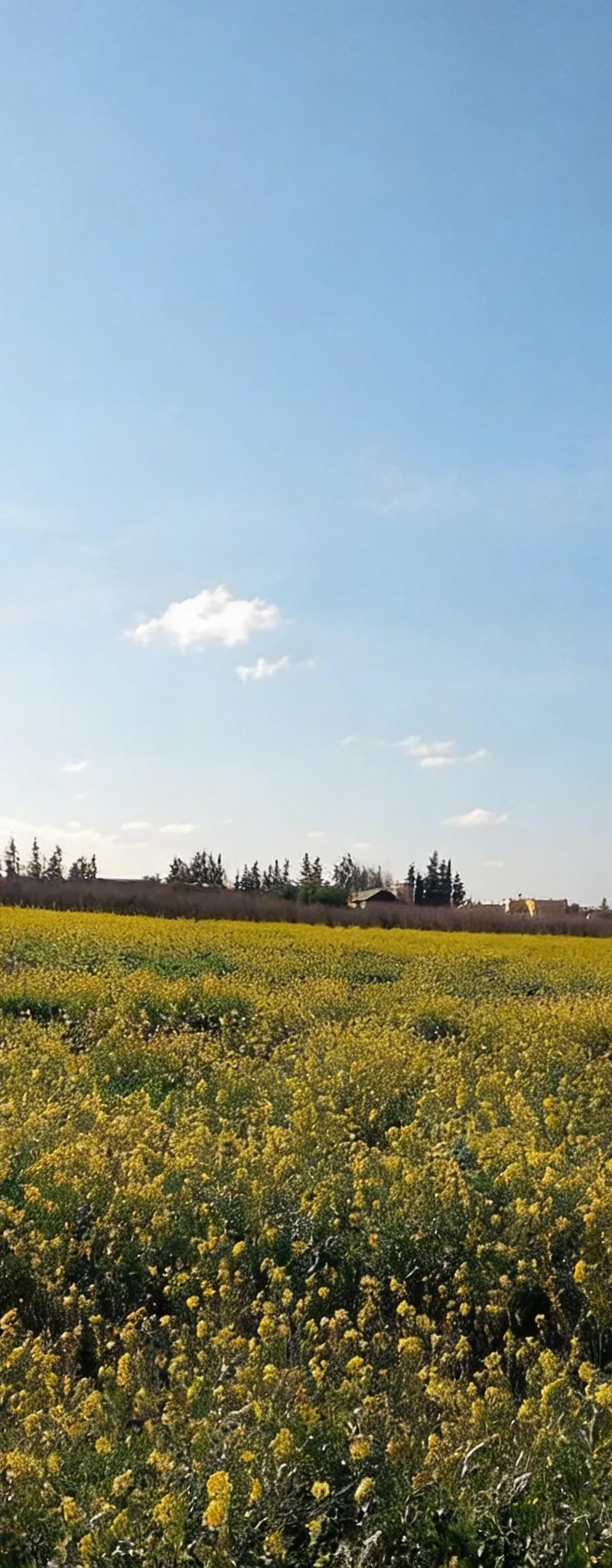 3 hectares à vendre près de Meknès
