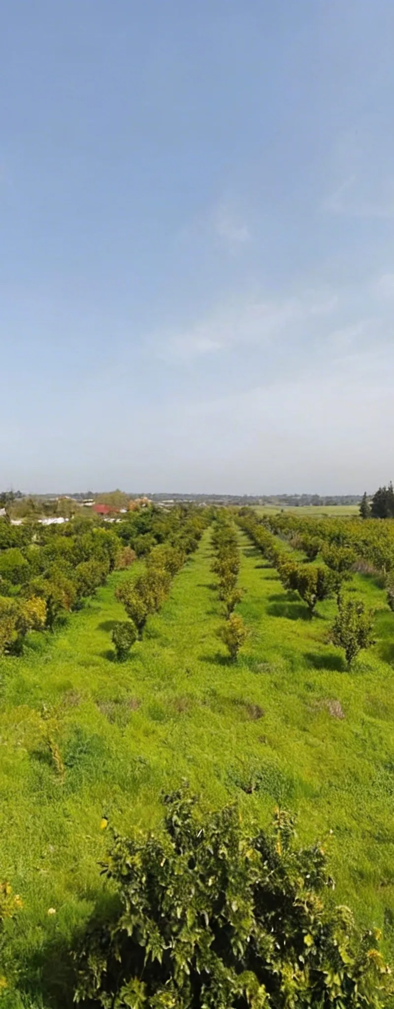 Très beau terrain à vendre
