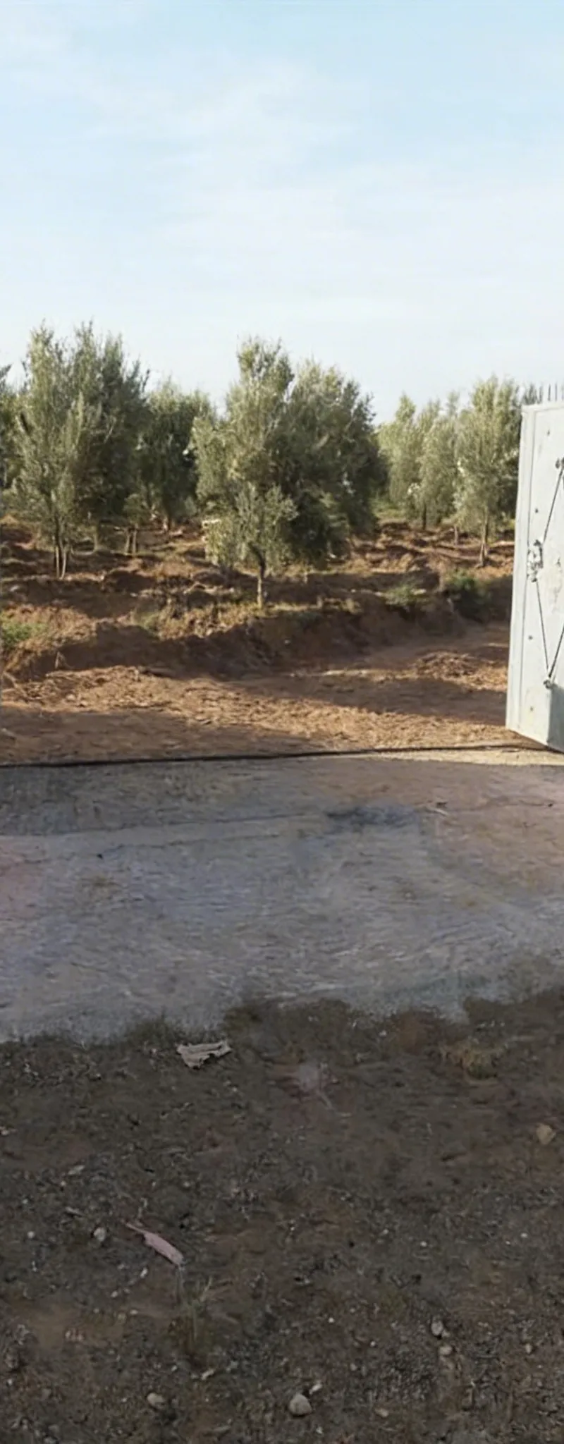 Jolie ferme titrée 4 ha Marrakech vente urgt.