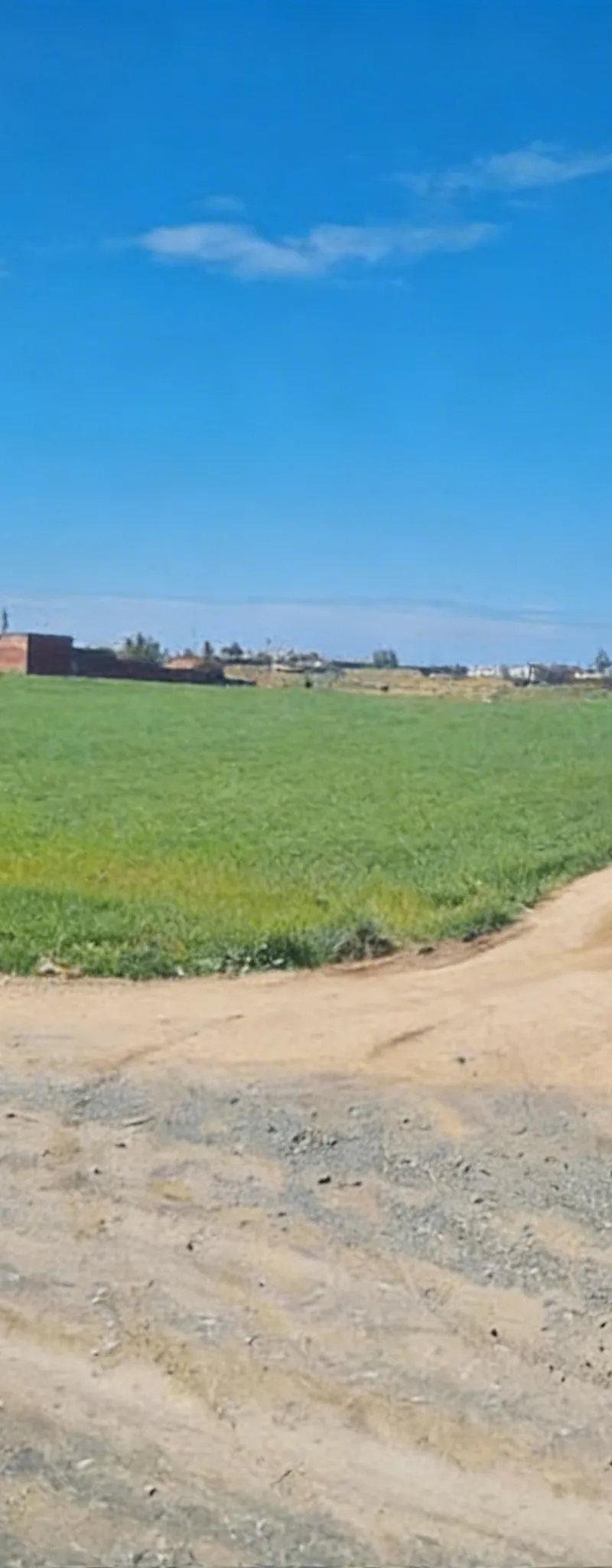 Près de la mer - Terrains agricoles titrés - Sidi Rahal