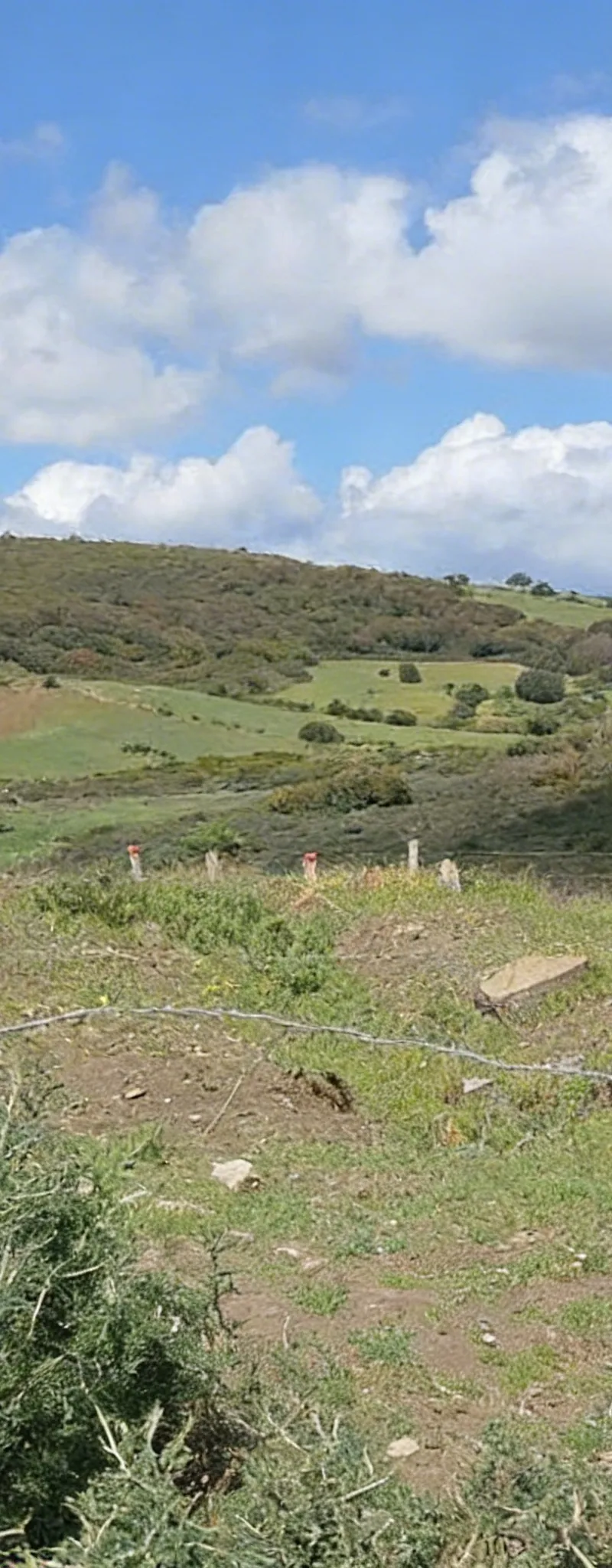 Terrain agricole de 1600m2