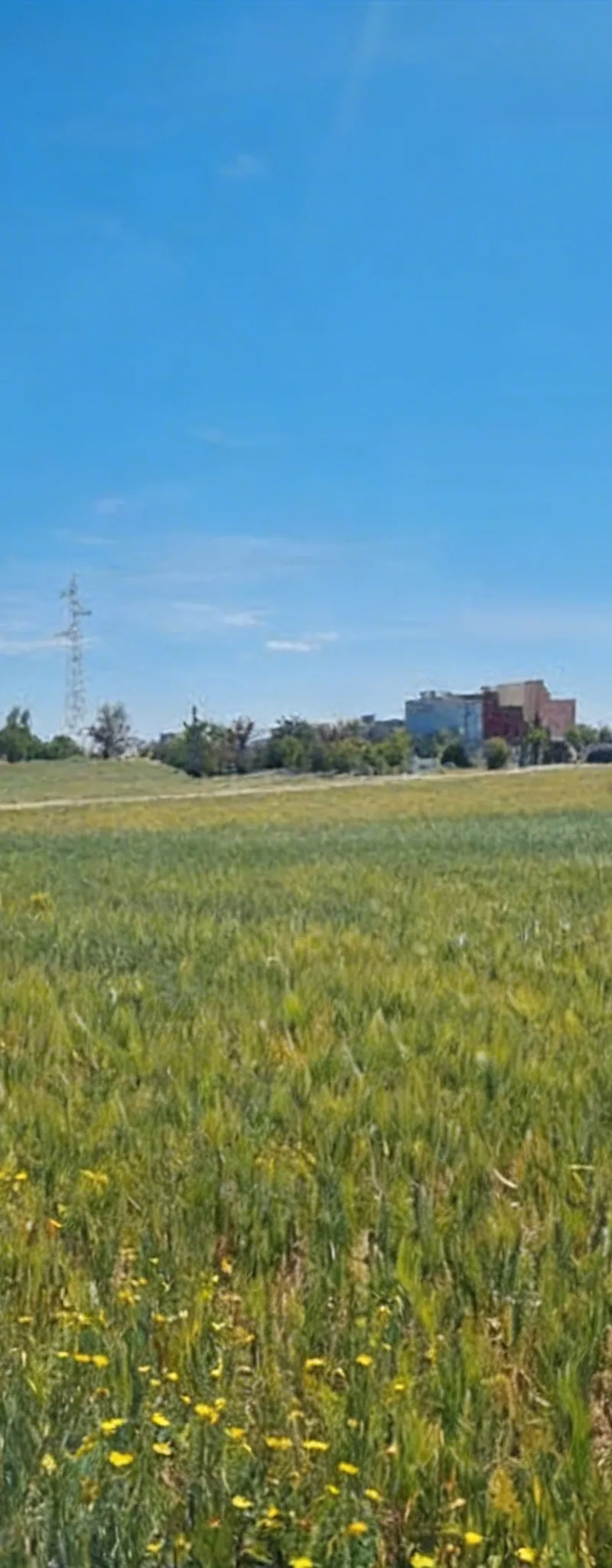 Terrains Titrés & Fermes – Sidi Rahal