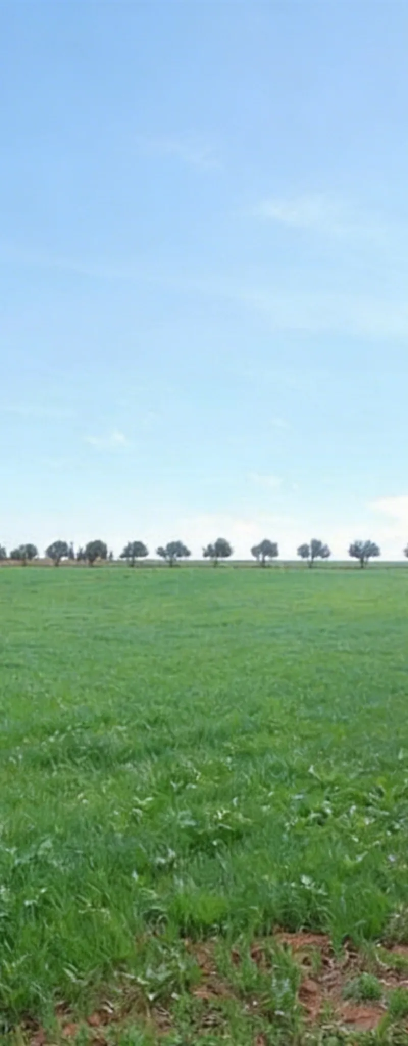 Terrains titrés à Bir Jdid à vendre pour l'agriculture et l'investissement