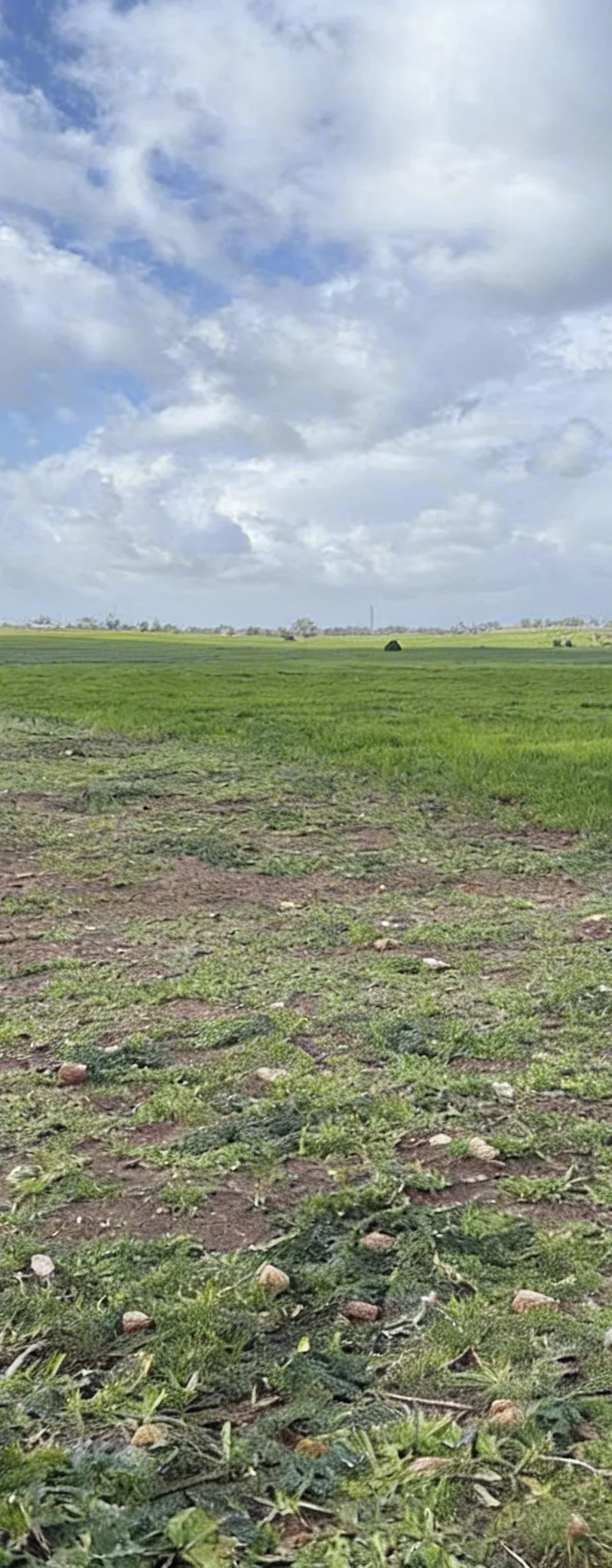 Hectare Sidi Rahal