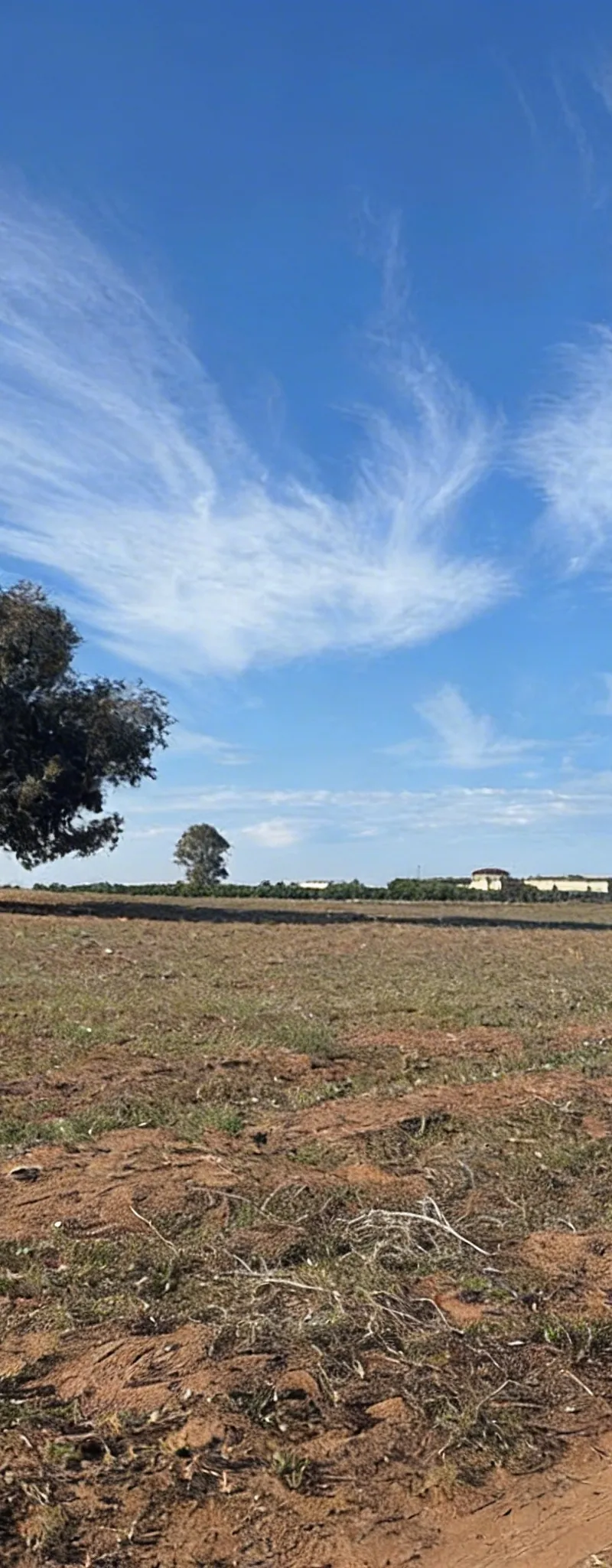 Terrain à vendre près de Sidi Rahal