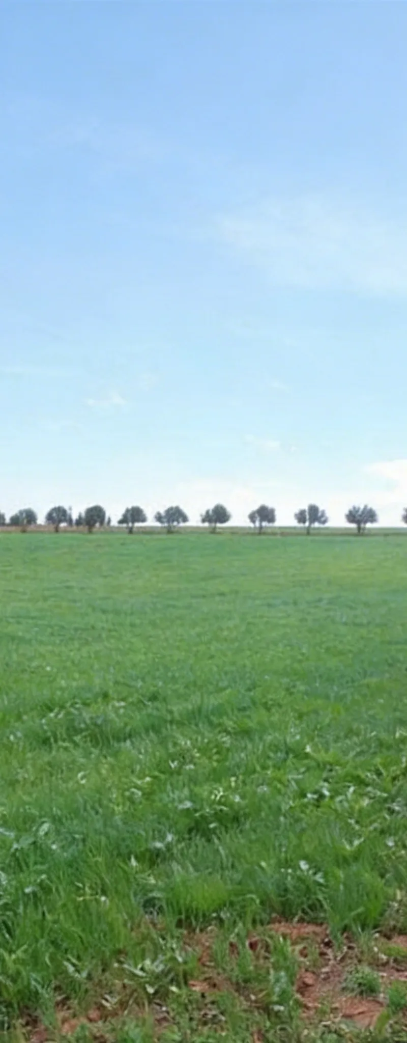 Terrains agricoles titrés et villas à vendre à Bir Jdid