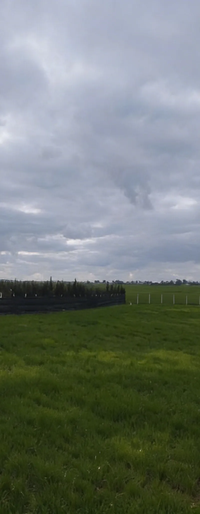 Terrain agricole pour ferme