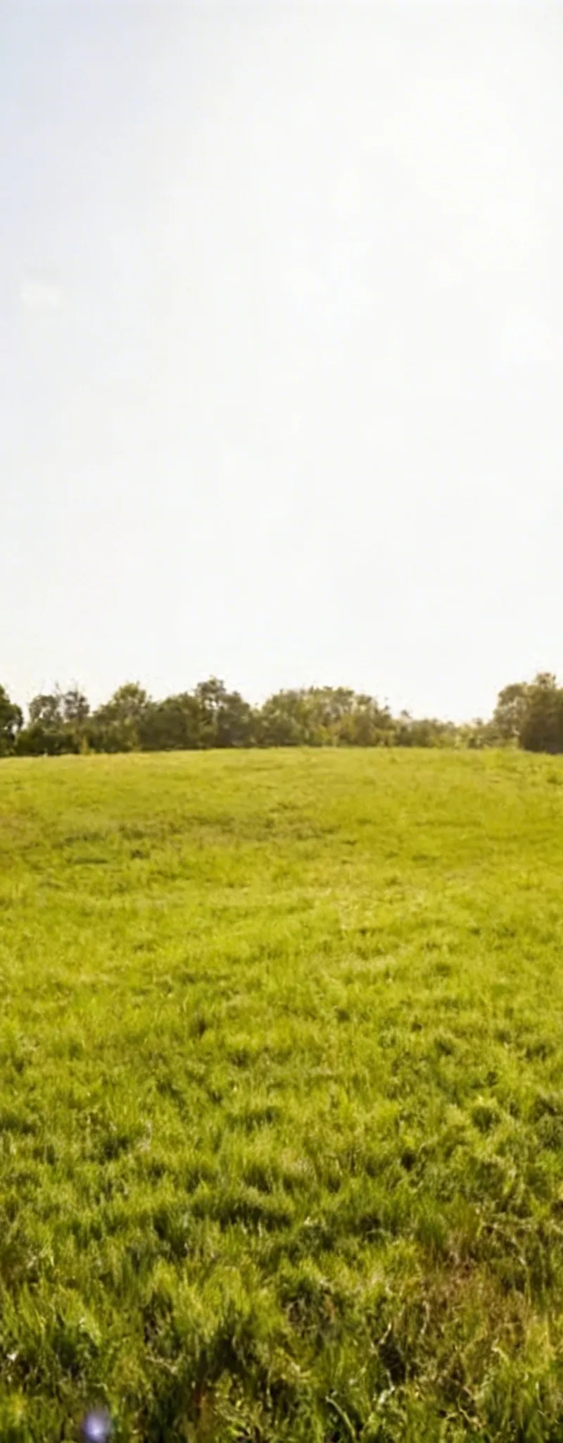 Terrain pour villa à vendre à EL HADIKA2 Kénitra