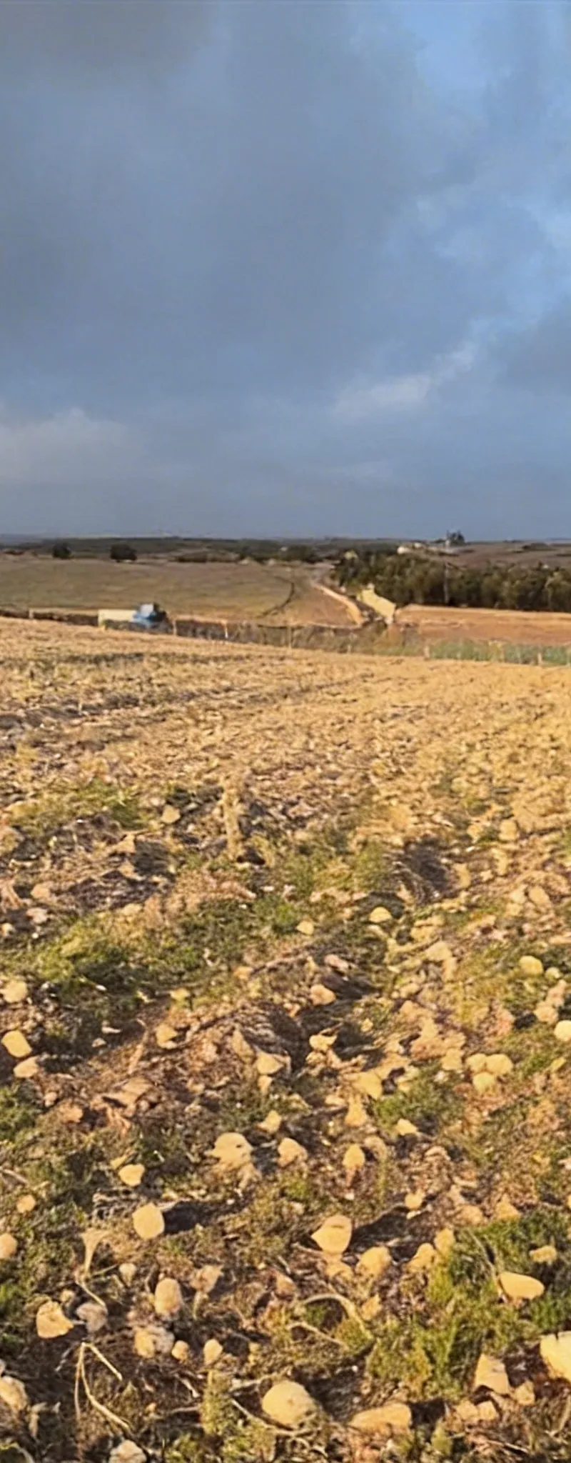 Terrain titré avec puits