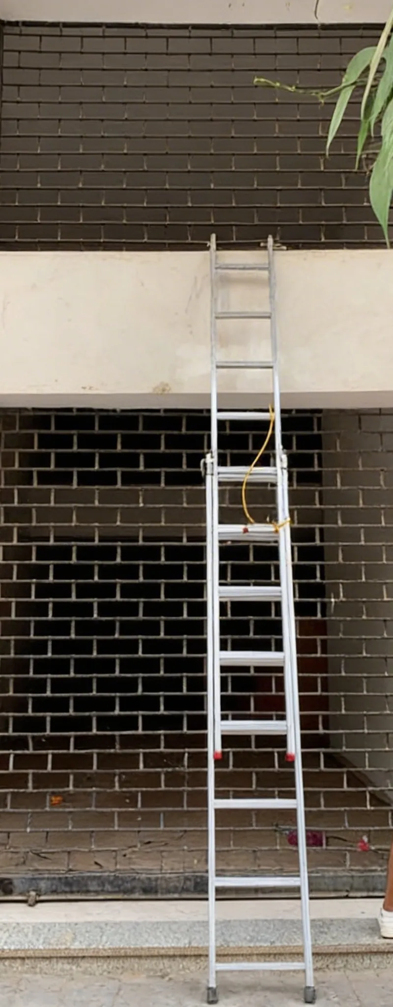 Local commercial stratégique au cœur de Fès