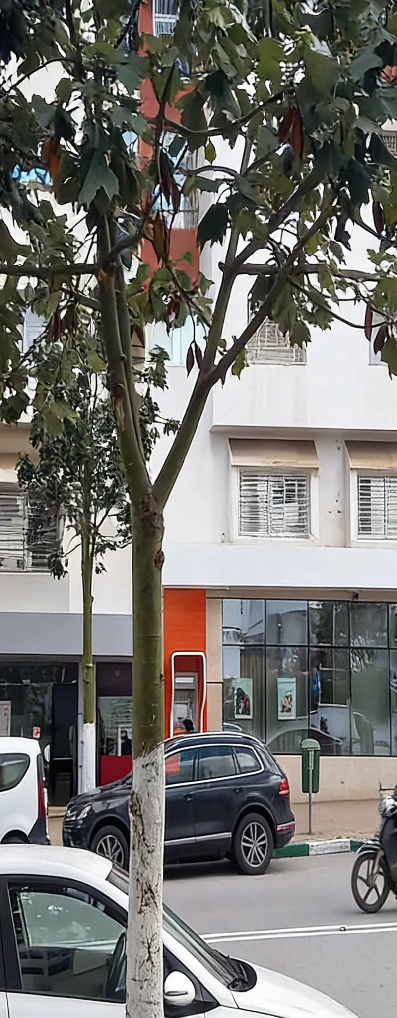 Bureau à vendre (97 m²) Centre Ville Kénitra