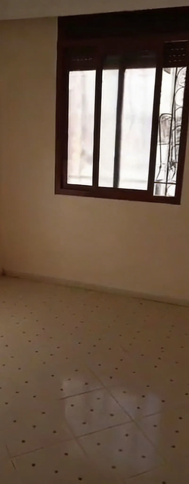 Rina à Ain Sbaa