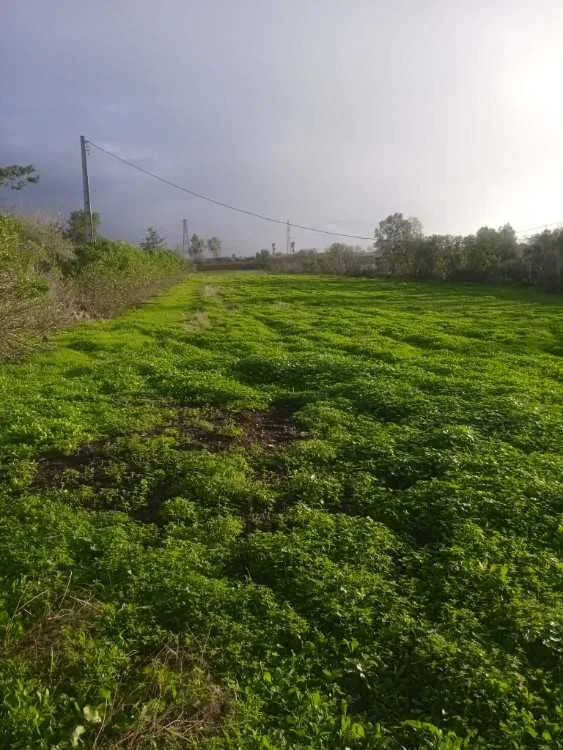 A vendre terrain agricole à bouznika