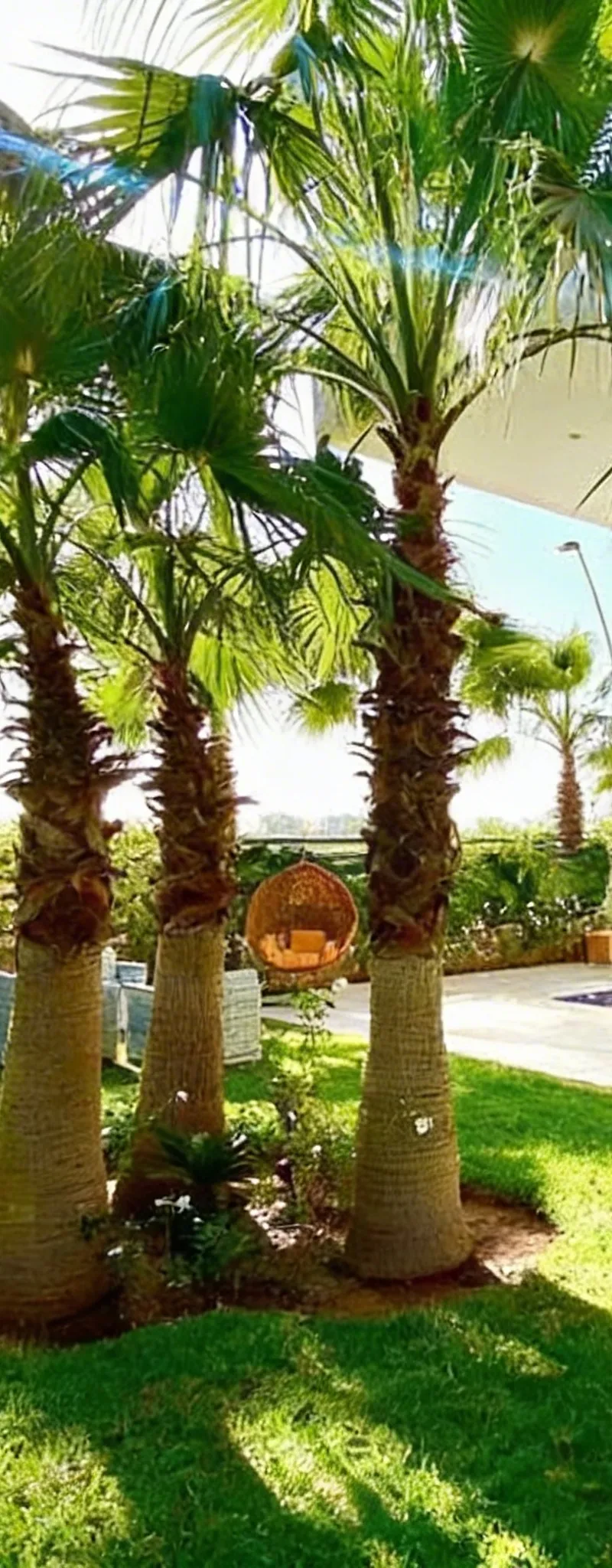 VILLA 4 CHAMBRES NORIA GOLF