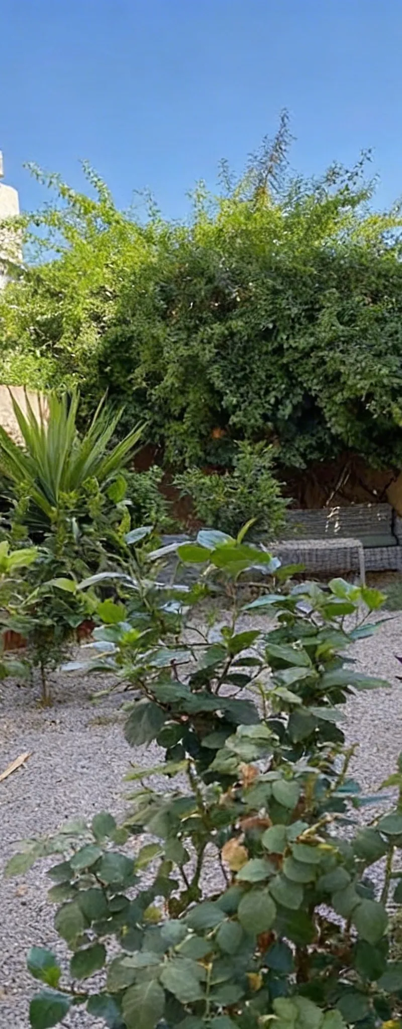appartement-villa à louer