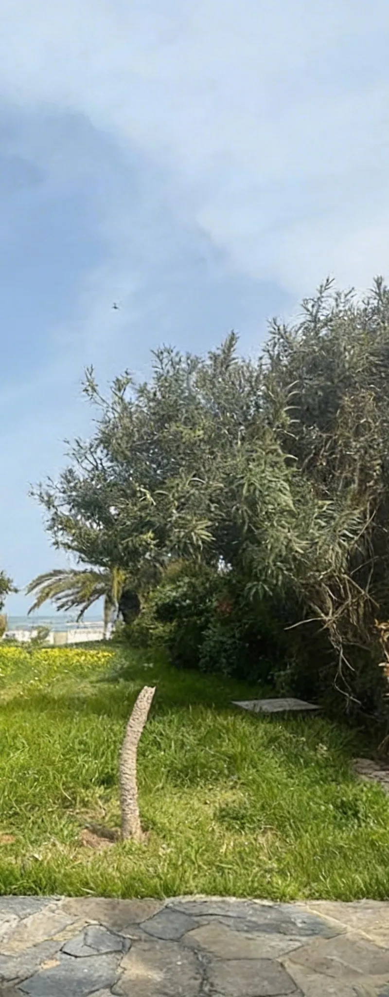 Villa Pieds dans l’Eau à Louer Meublée– Harhoura