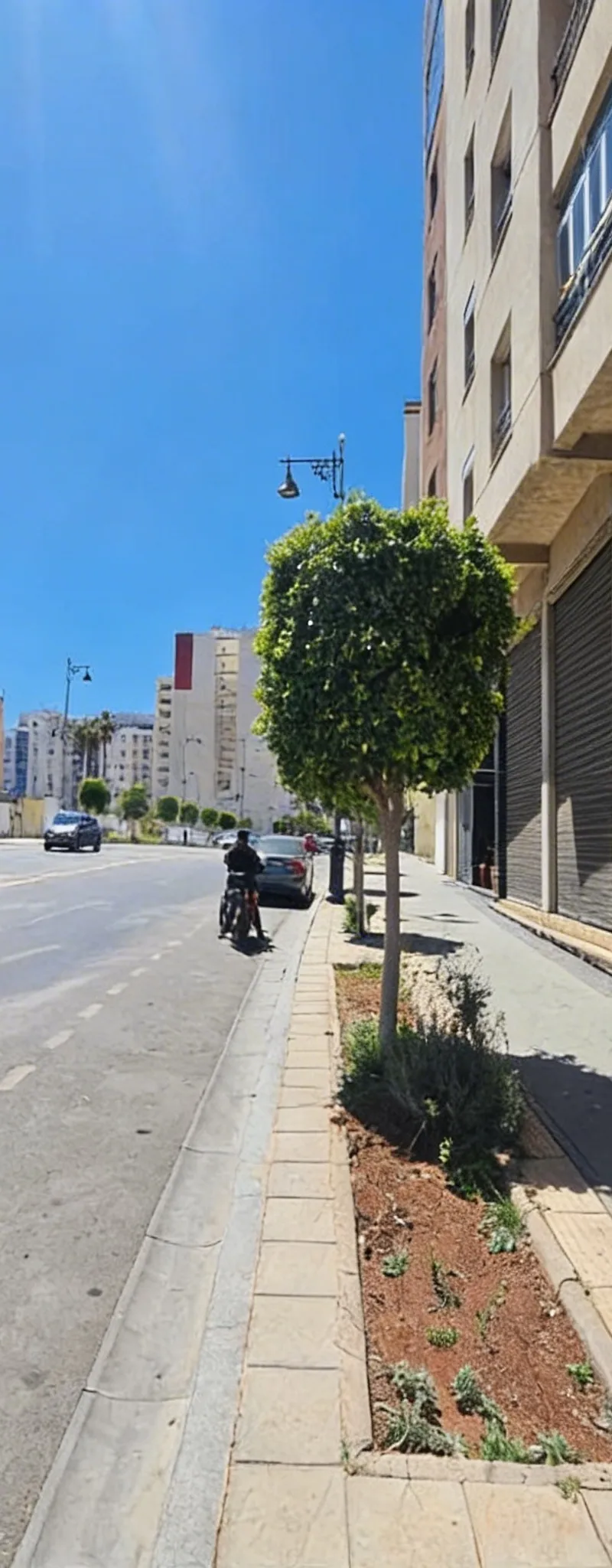 MAGASIN A LOUER AV F.A.R 1200M2