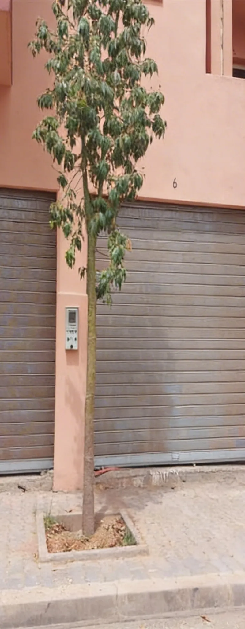 Magasin à louer
