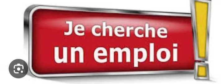 chauffeur automobile expérimenté diplomé - Casablanca