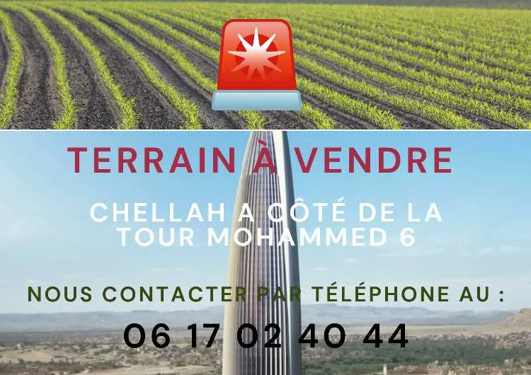 Terraintitré