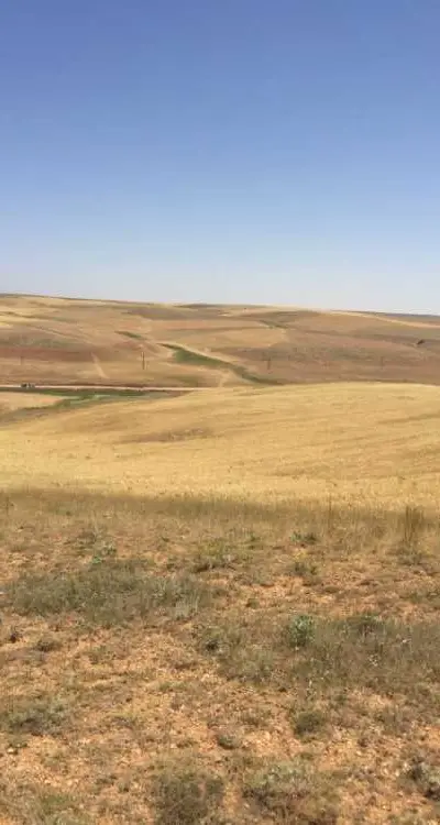 Terrain à louer