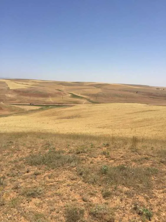 Terrain à louer