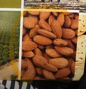 Almonds from USA