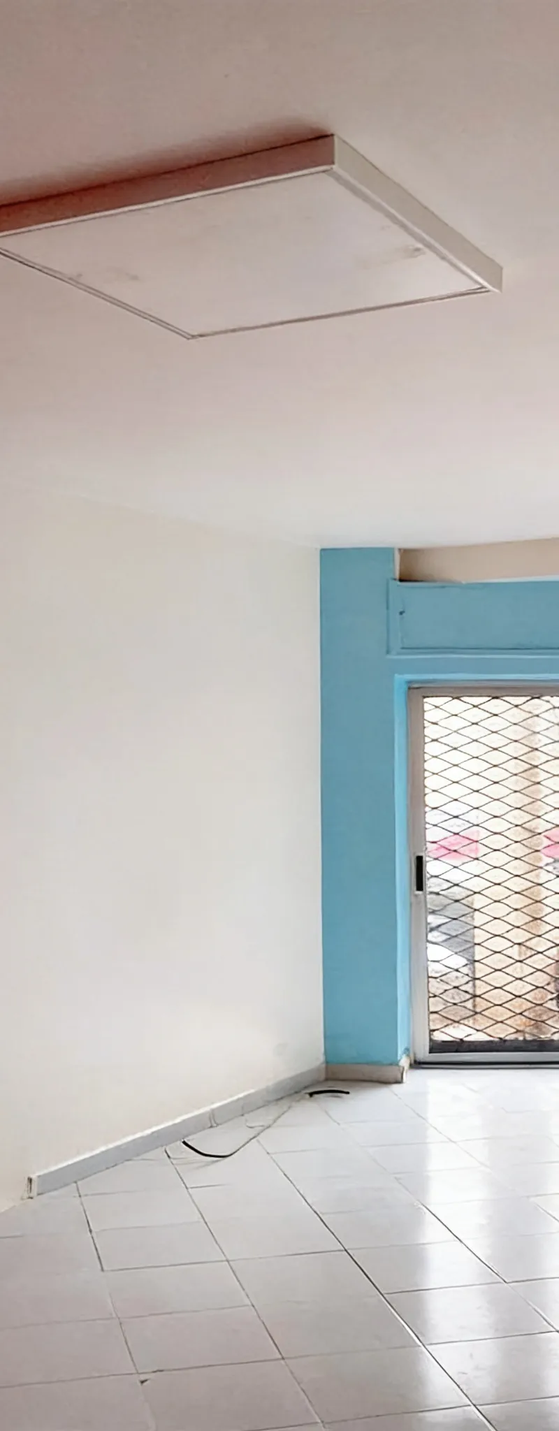 Local aménagé à palmier 32m2