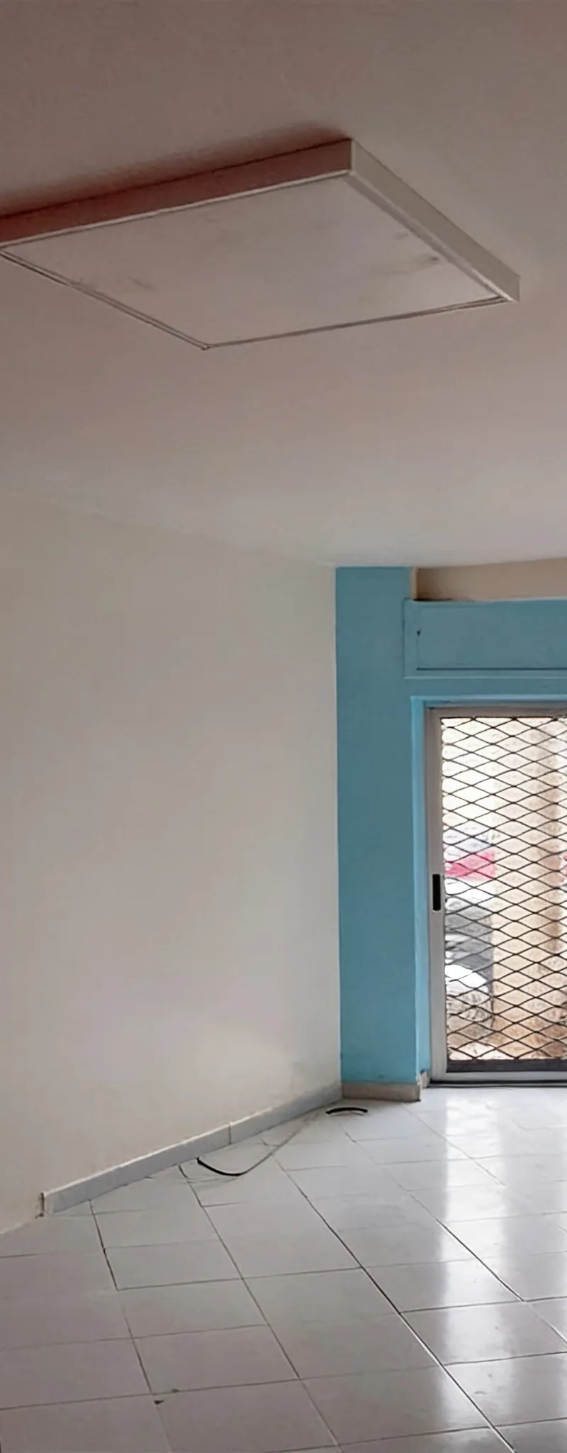 Local aménagé à palmier 32m2