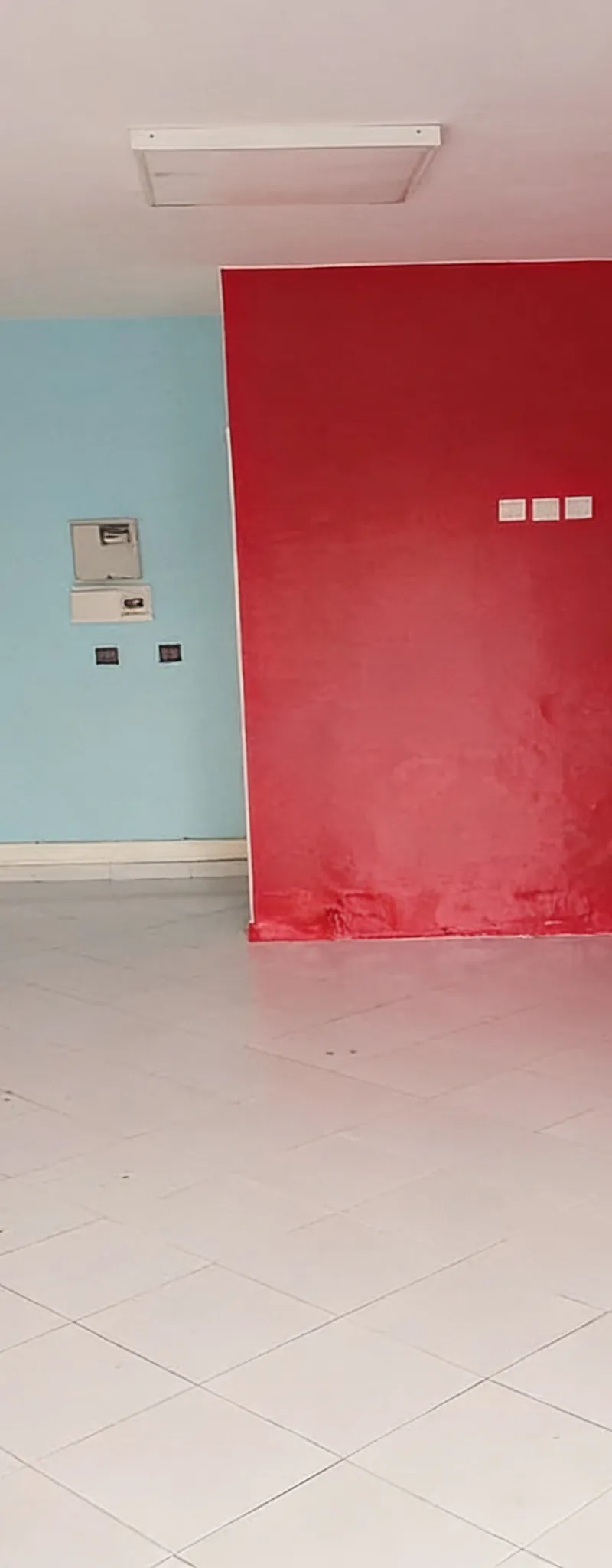 Magasin aménagé à Palmier