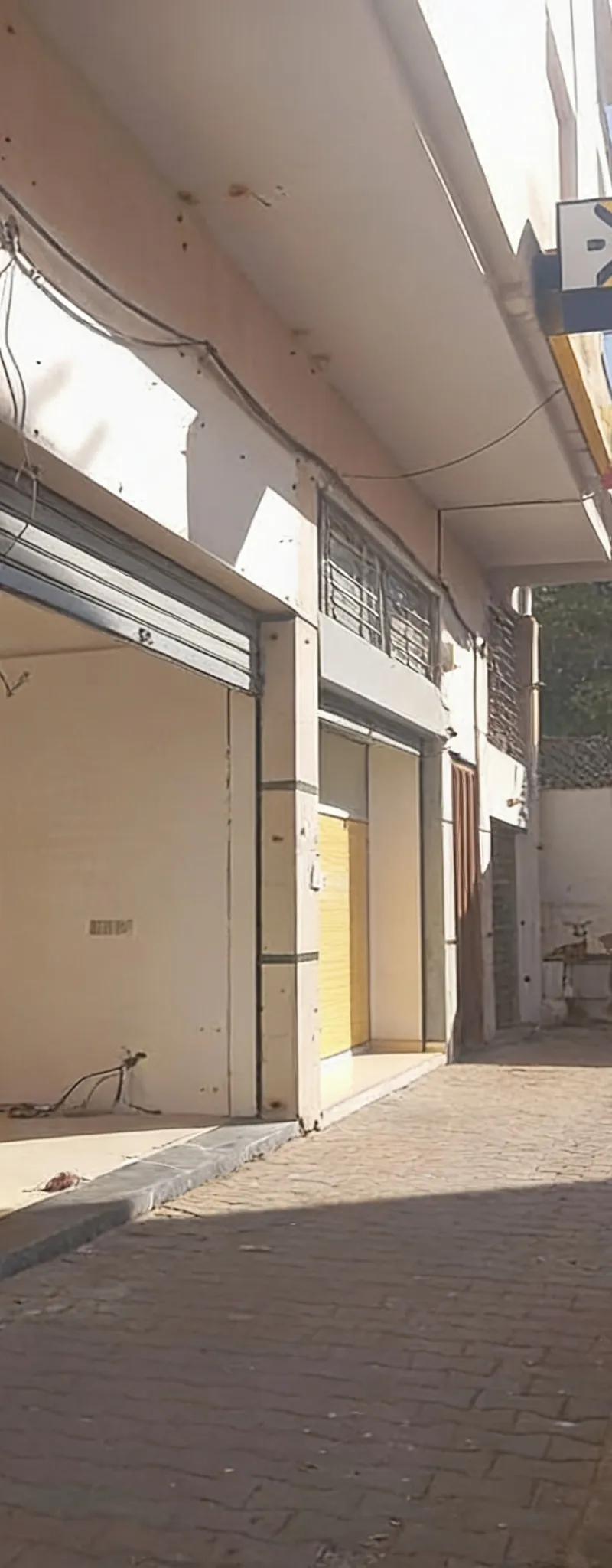 Magasin à louer