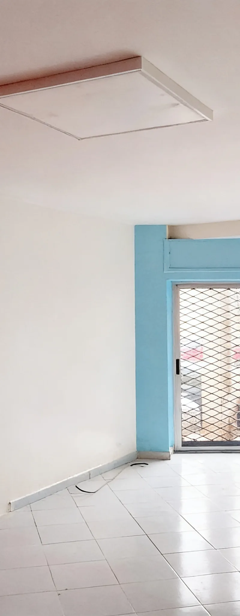 magasin aménagé à palmier 30m2