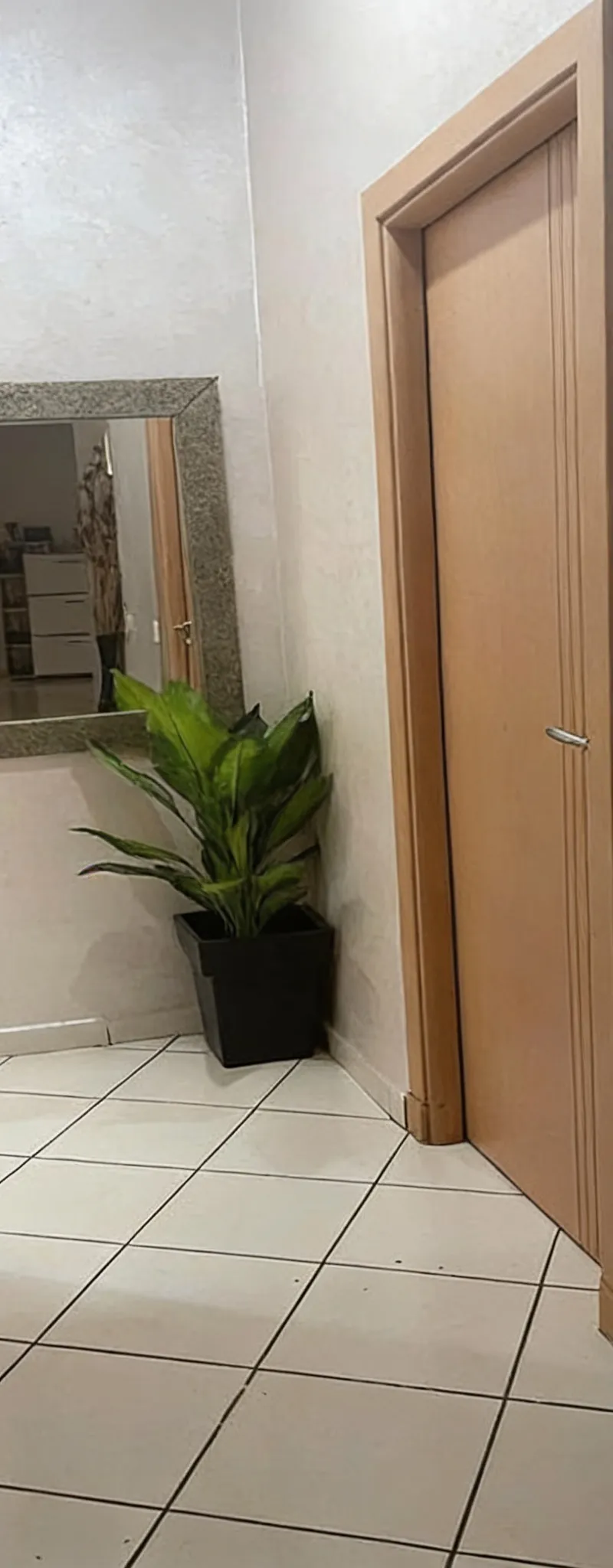 Appartements à vendre