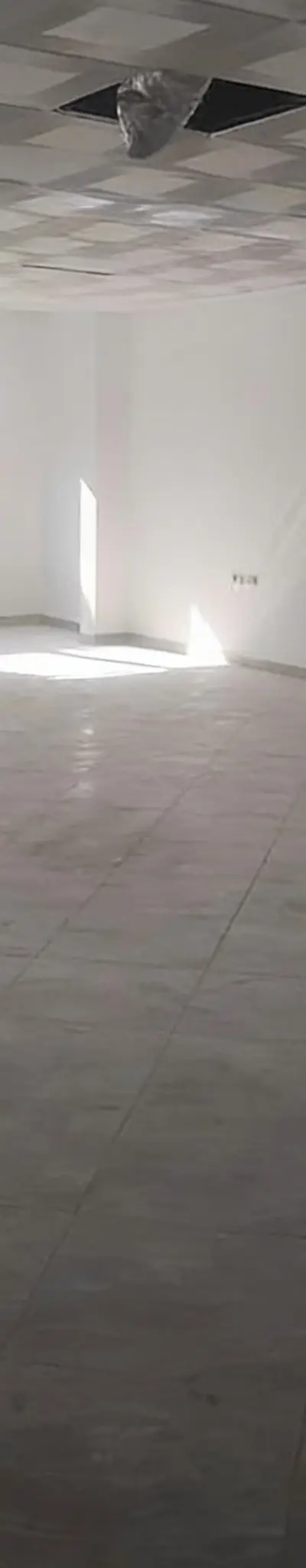 Plataux de beraux à louer