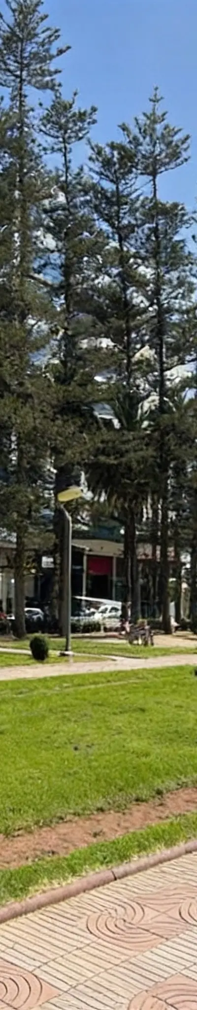 Plateau bureau neuf à louer à Quartier du Parc