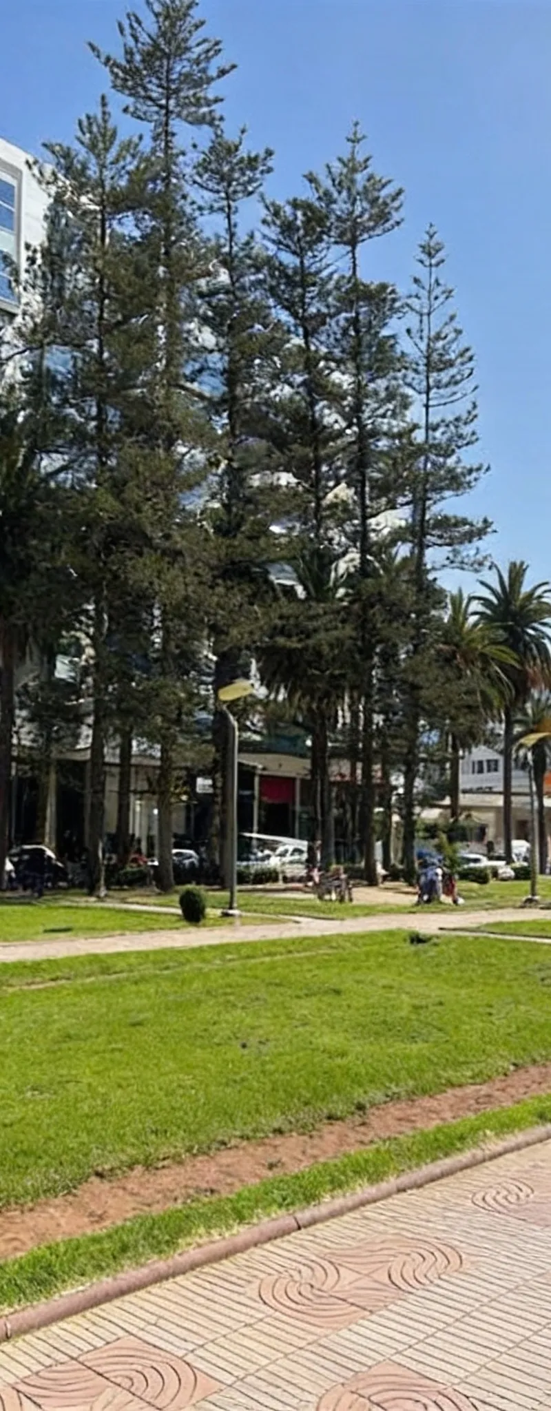 Plateau bureau neuf à louer à Quartier du Parc