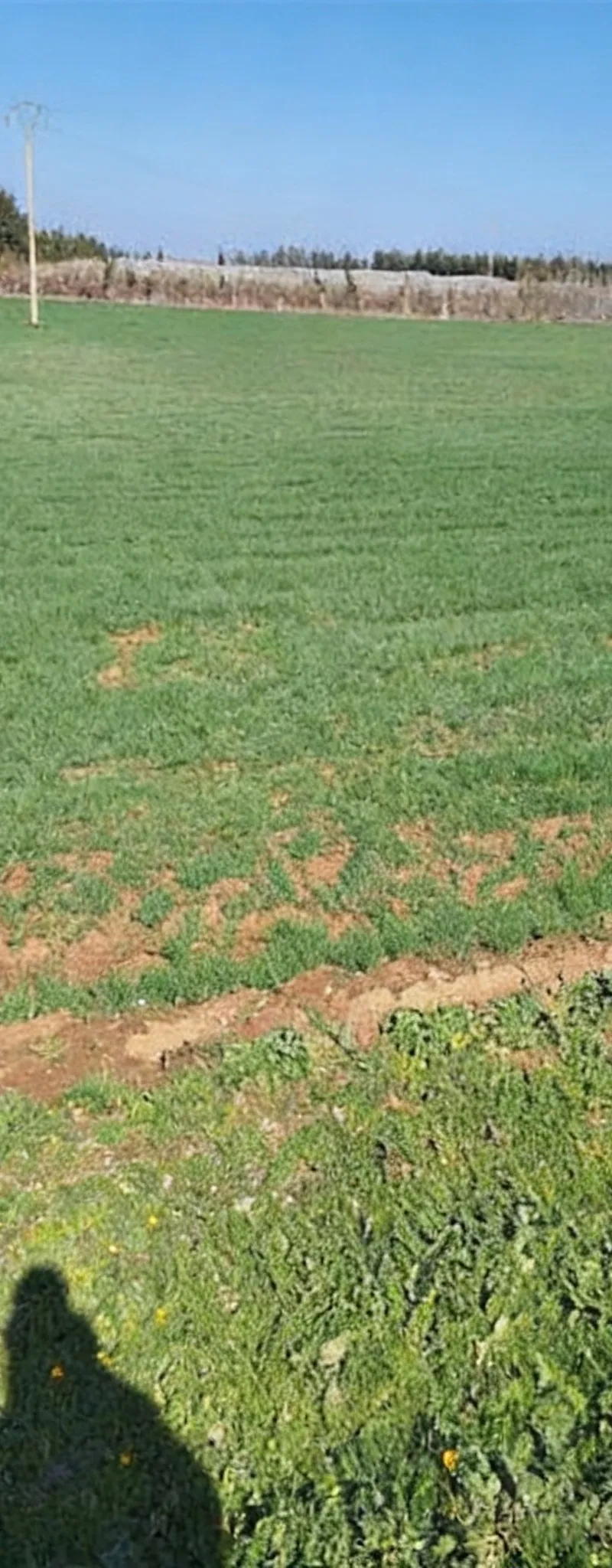 Terrains et fermes titrés – Bir Jdid