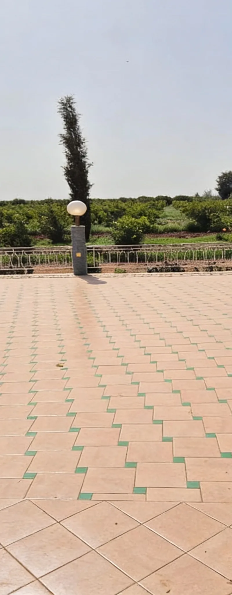Vente ferme 10 ha Sidi Jebeur Béni Mellal