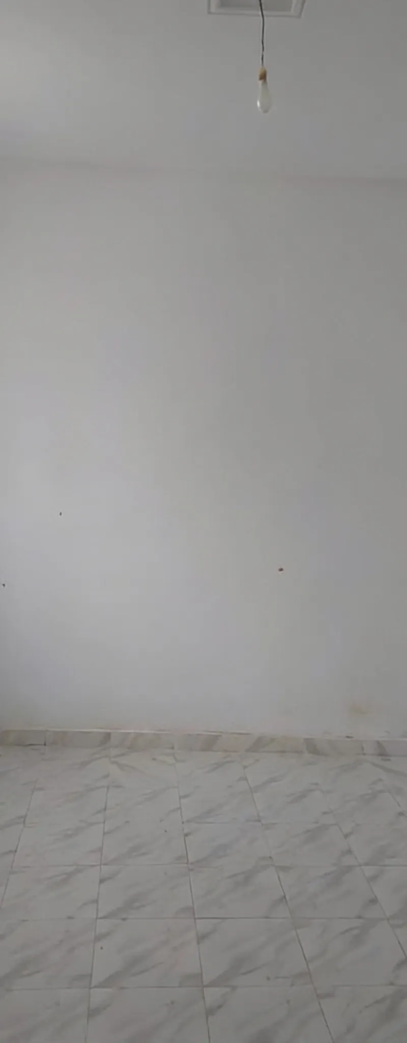 Studio pour célibataire