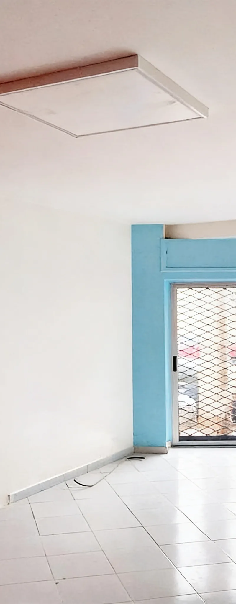 local aménagé à palmier 32m2