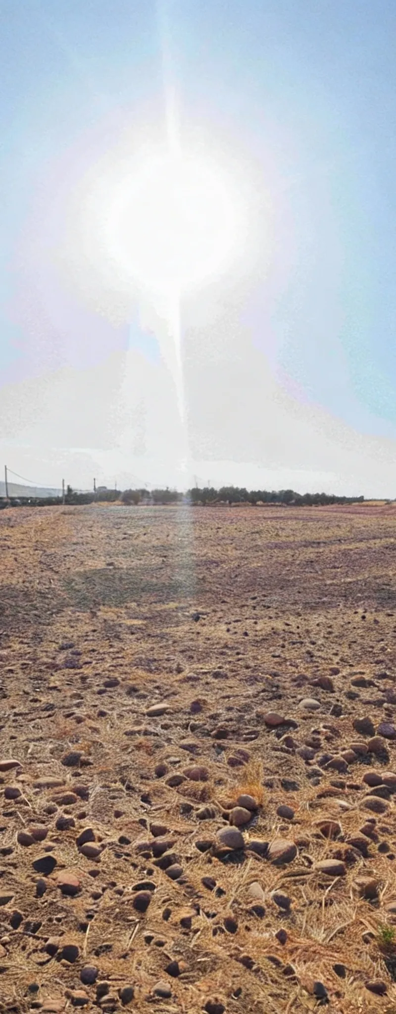 Terrain de 4,5 hectares titre