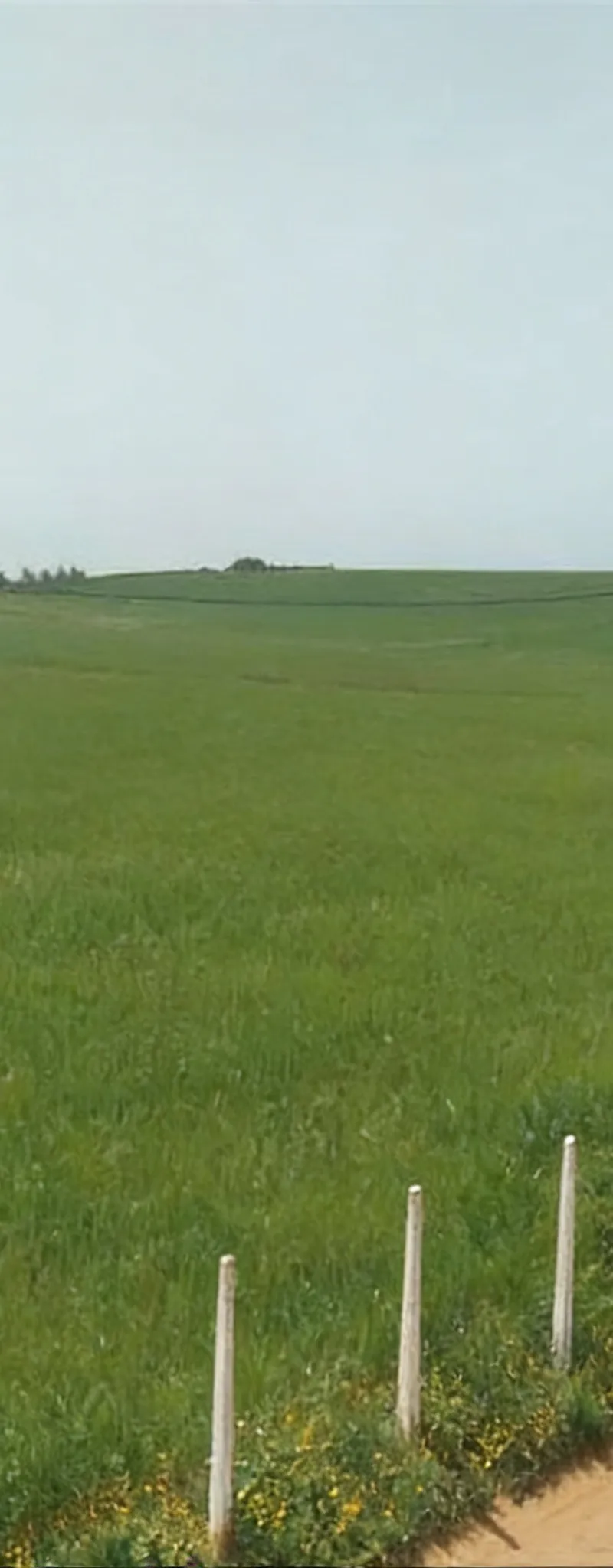 Terrains conservés et vue sur mer près de Sidi Rahal