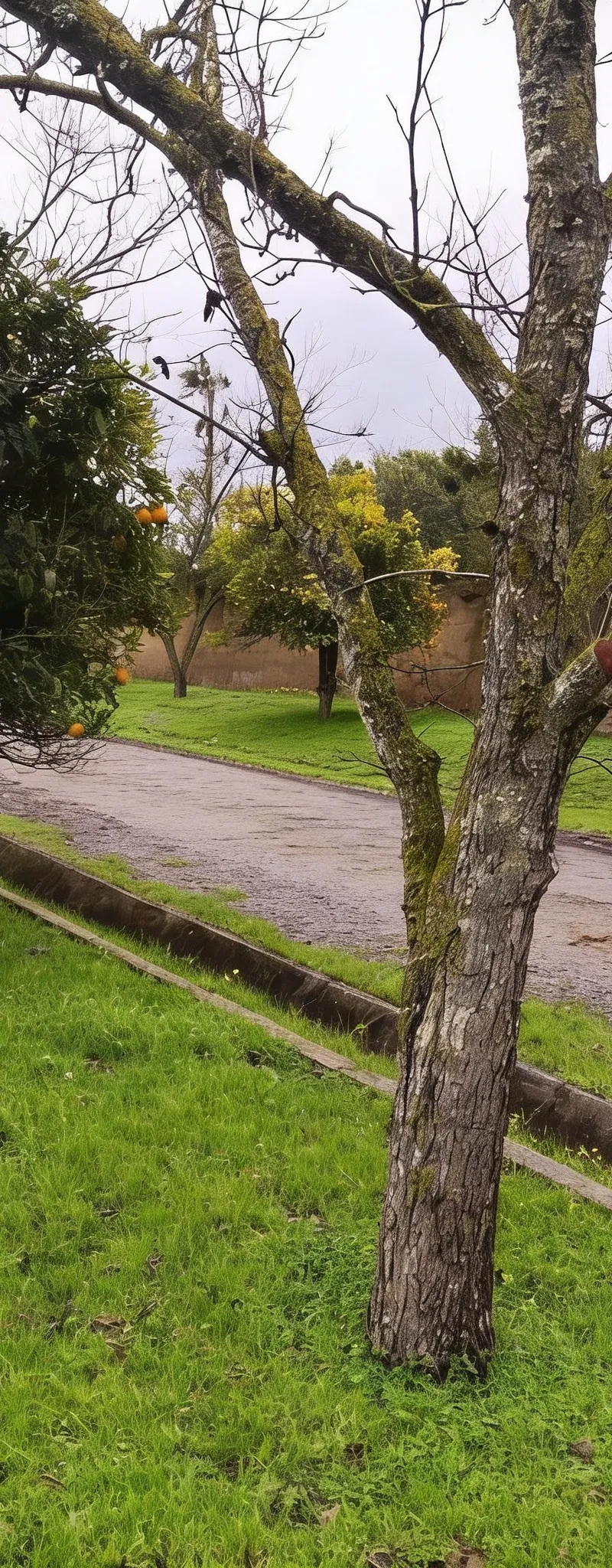 Ferme à vendre 6km prix négociable