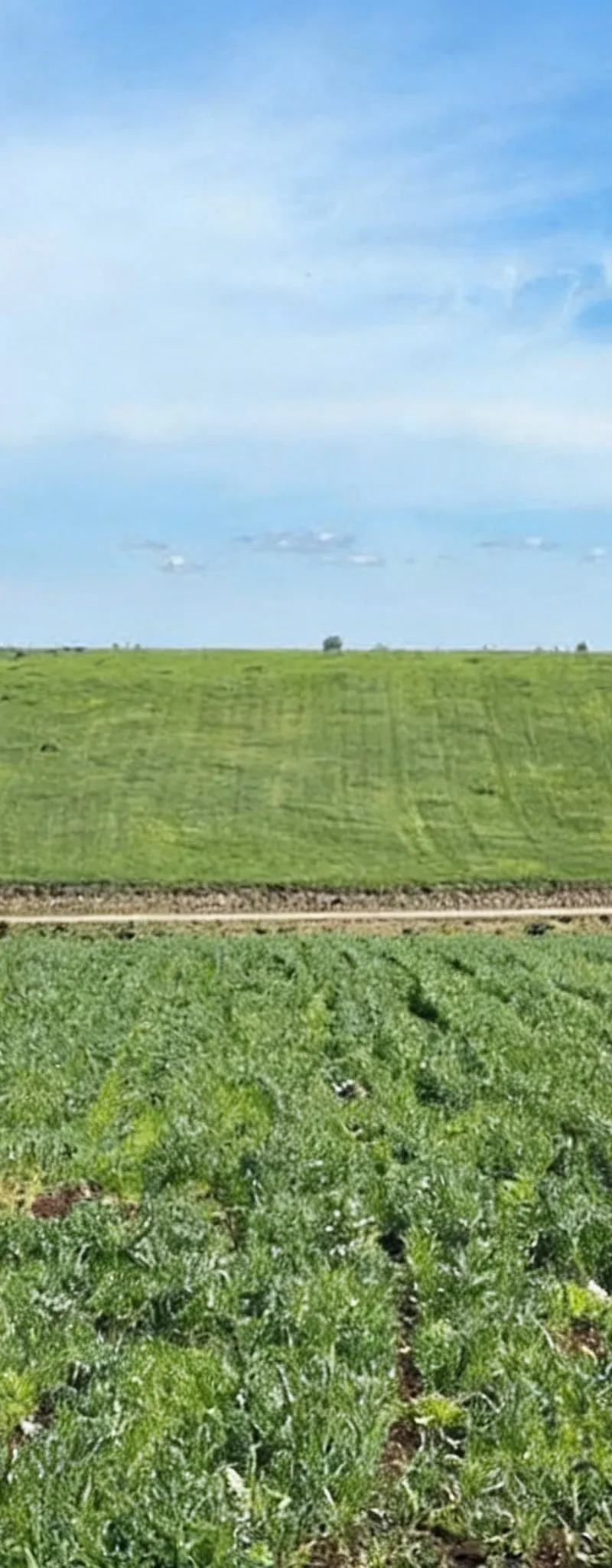 Terrains et fermes titrés à Bir Jdid