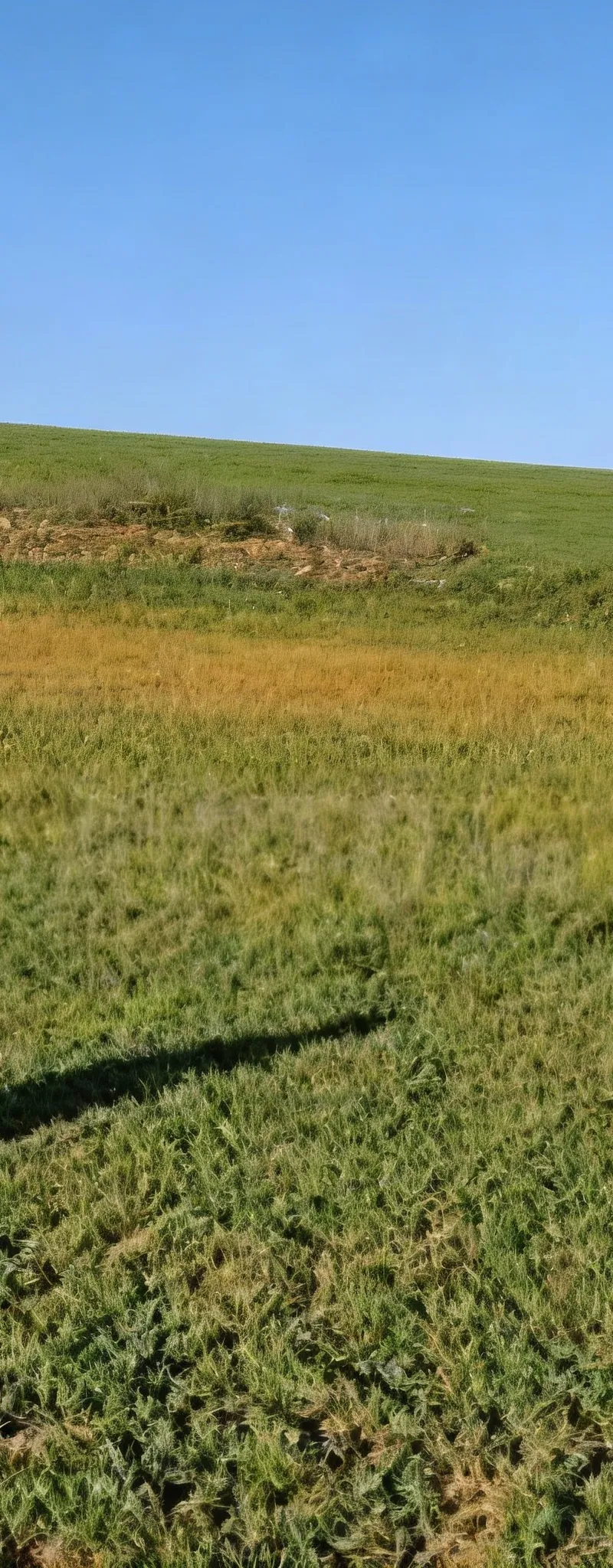 Terrains Agricoles & fermes à bir jdid