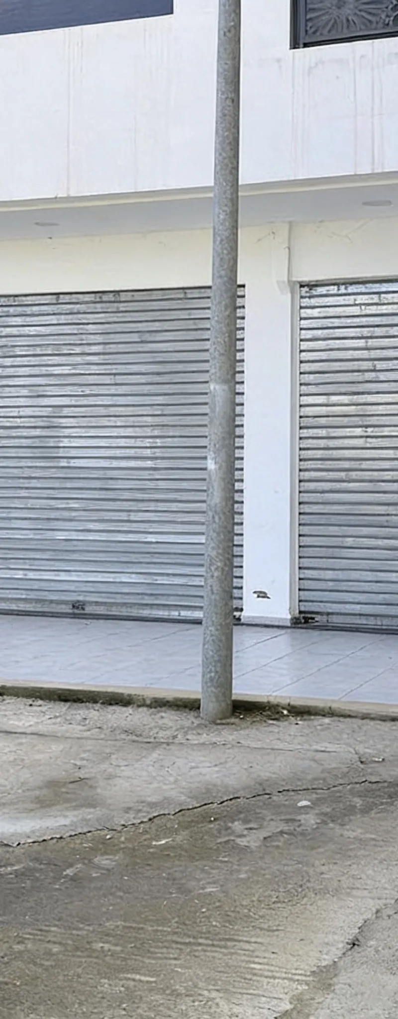 Magasin à vendre Kénitra Alliance