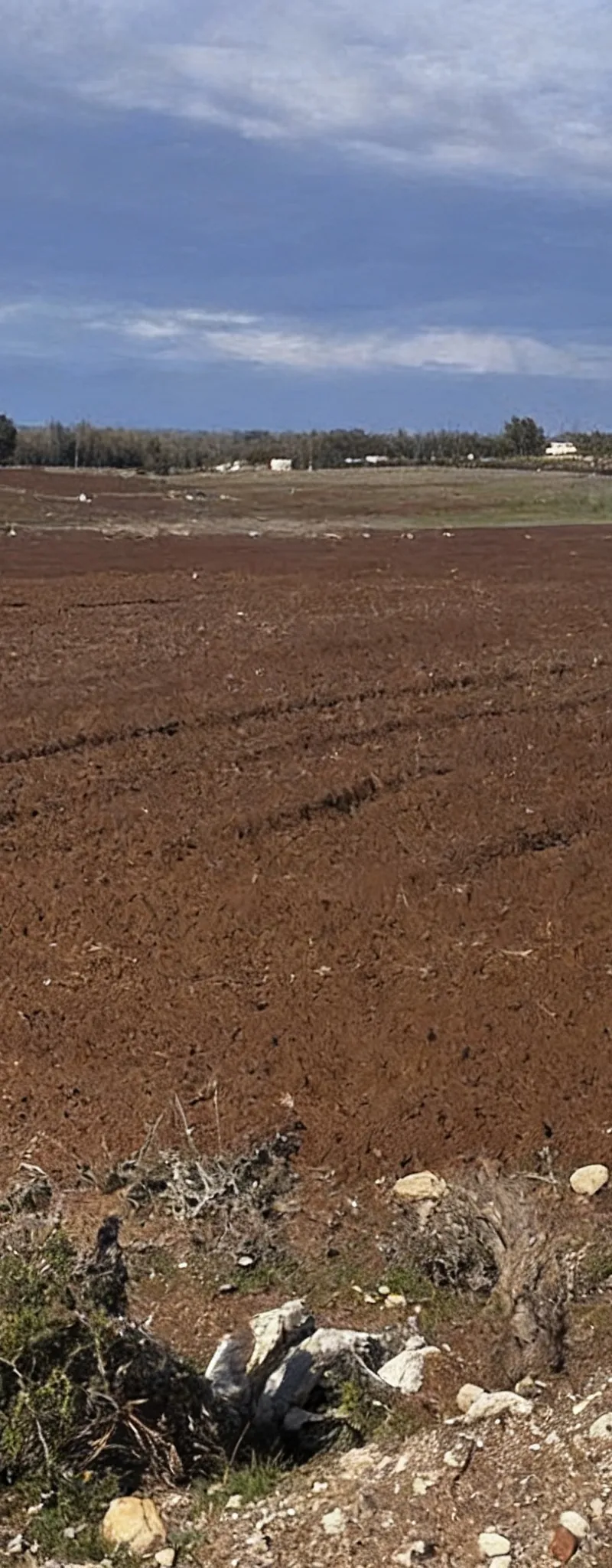 10000 m2 titre sidi rehal